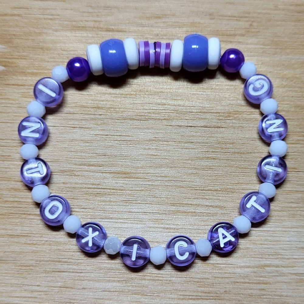 The Way I Loved You- Taylor Swift Friendship Bracelet, Size 6.5"